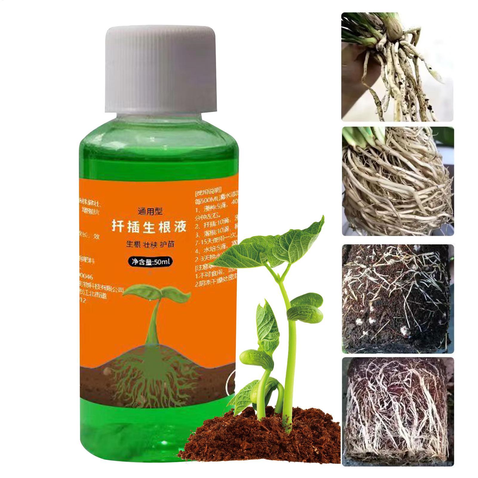 Stimulator Akar Efisiensi Ting - Root Stimulator Liquid ulasan dan harga