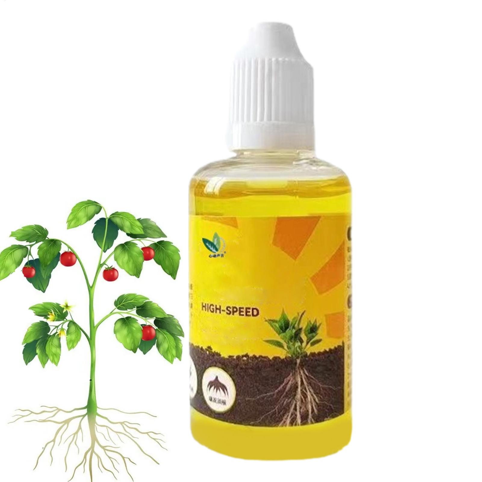 Larutan Nutrisi Tanaman Cepat  - Root Stimulator Liquid ulasan dan harga